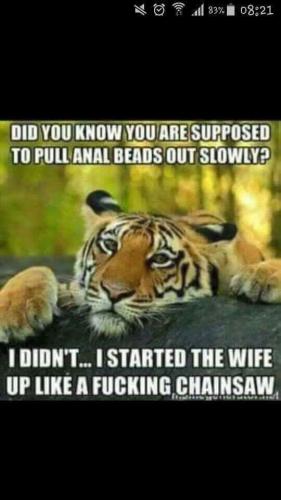 16:25:04 GMT-0600 (CST)