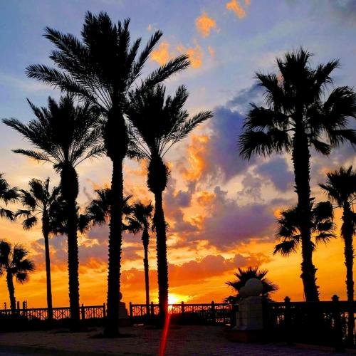 22:34:50 GMT-0500 (EST)