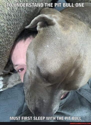 22:59:42 GMT-0600 (CST).image