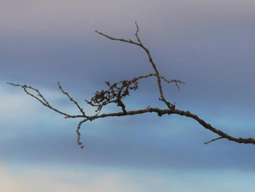 15:01:51 GMT-0800 (PST)