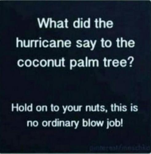 Screenshot_2020-09-19-05-50-11-1