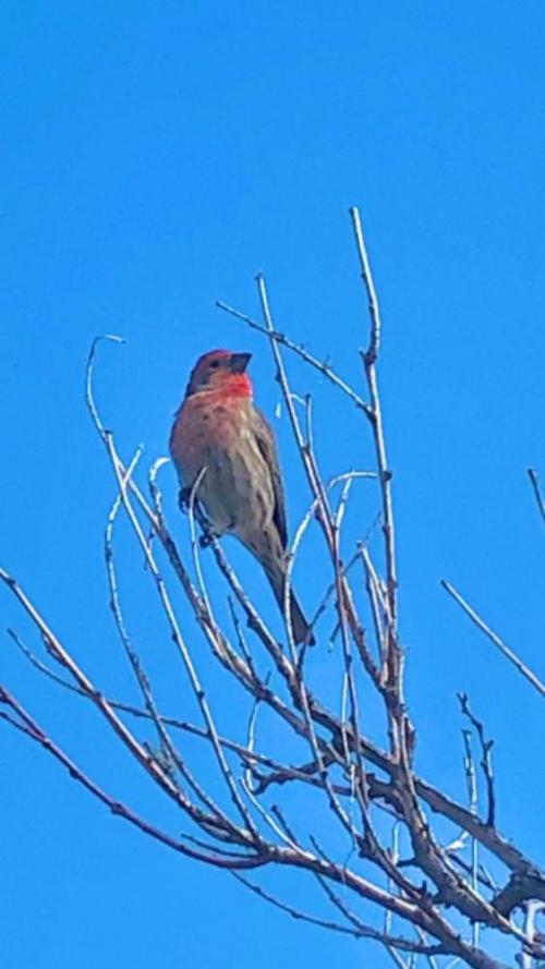 07:47:30 GMT+0100 (WAT)