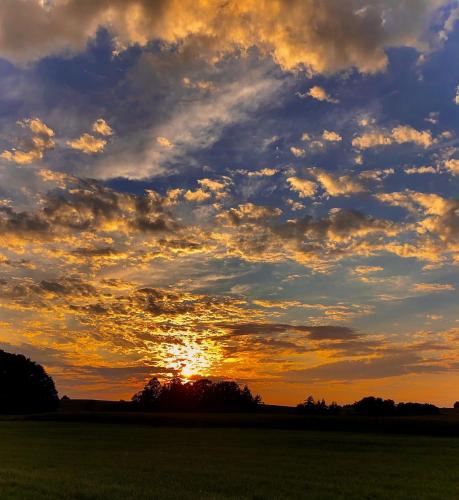 12:55:03 GMT-0500 (EST).image