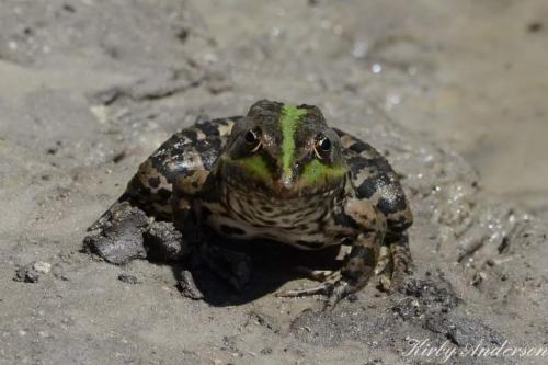 21:30:18 GMT-0600 (CST)