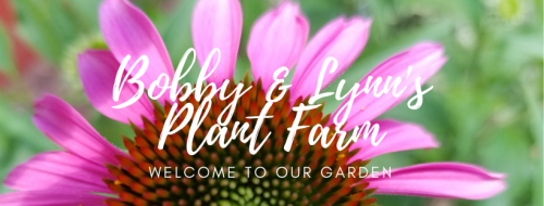 Bobby & Lynn's Plant Farm Facebook Cover 6162020