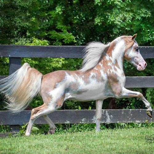 10:23:27 GMT-0700 (MST)