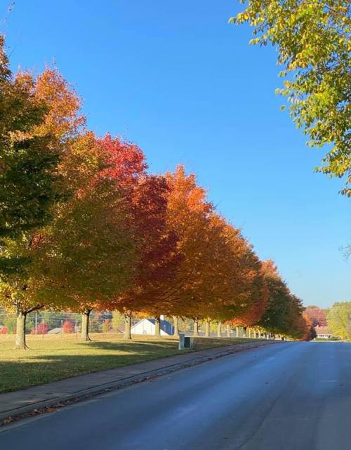 21:24:18 GMT-0600 (CST).image