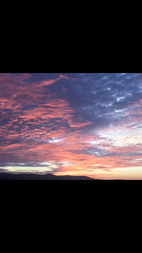 11:11:48 GMT-0600 (CST).image