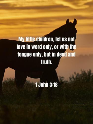 10:24:45 GMT-0500 (EST)