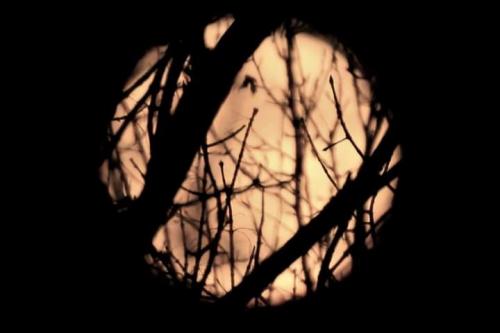 FB_IMG_1604194744666