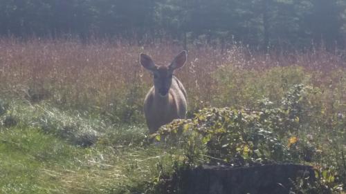 13:26:04 GMT-0600 (CST)