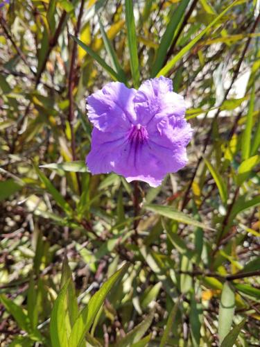 15:33:45 GMT-0800 (PST)