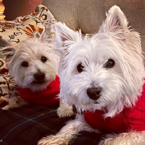 07:37:40 GMT-0600 (CST).image