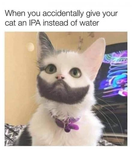 18:06:08 GMT-0500 (EST)