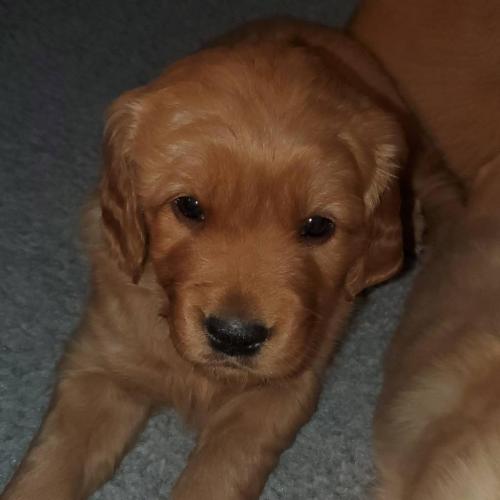 15:14:33 GMT-0500 (EST)