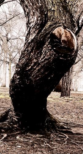 12:35:22 GMT-0500 (EST).image