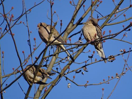 18:00:40 GMT-0500 (EST).image