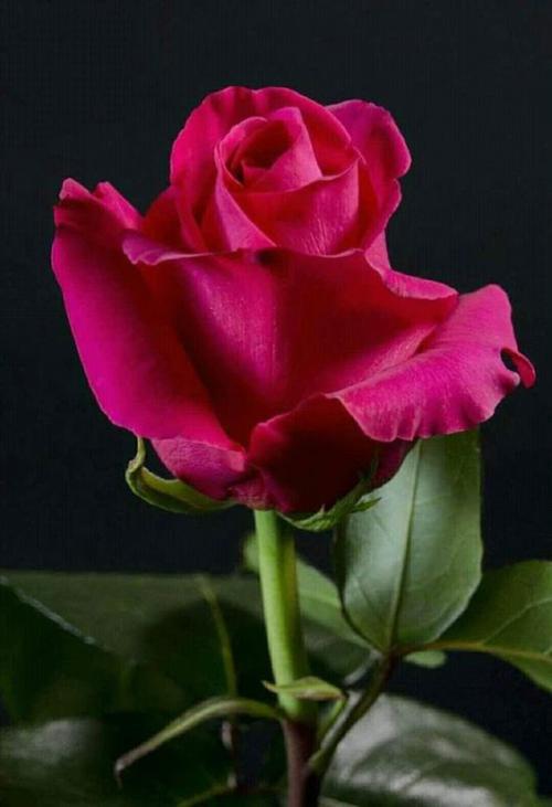 20:36:27 GMT+0000 (GMT).image