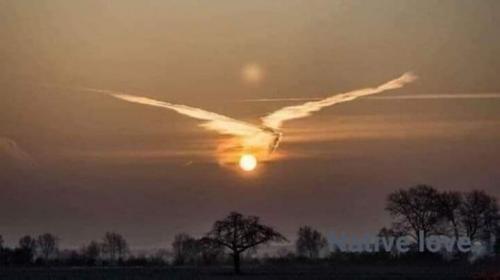 08:49:17 GMT-0500 (EST)