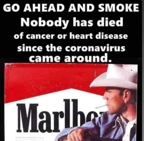 covid smokers dont die anymore