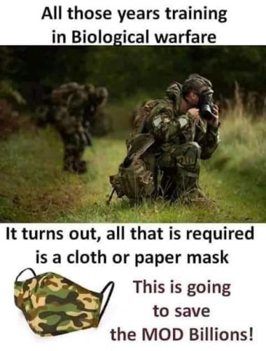 126349002_880985559338820_7979400472092381747_n