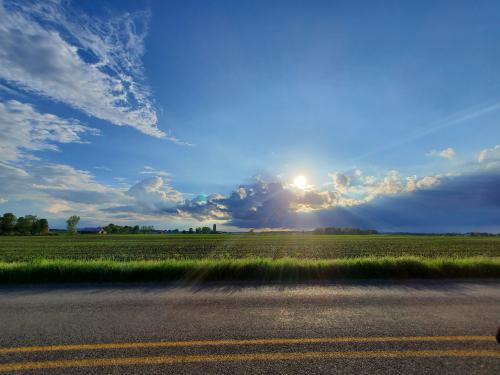 result_1604889654979