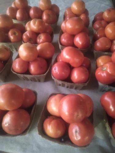 16:52:24 GMT-0600 (CST)