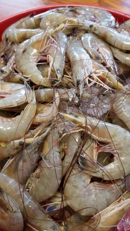 11:40:38 GMT-0600 (CST)