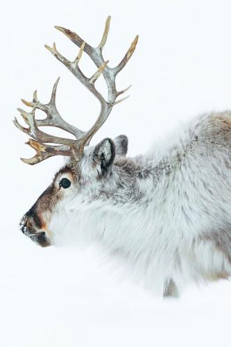 tumblr_8f3b7c485e4544e65b9dbdb0f7b052cf_ccb9994b_1280