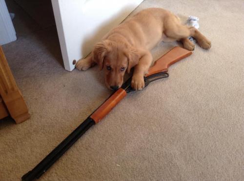 20:17:41 GMT-0800 (PST).image