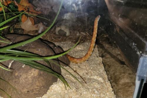 16:16:27 GMT-0500 (EST)