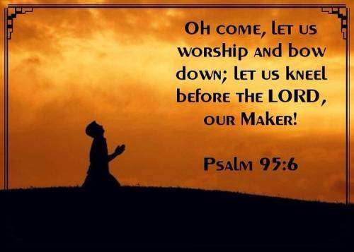 cd74e7f9d0cf33e94fcf6129aee6d6b4