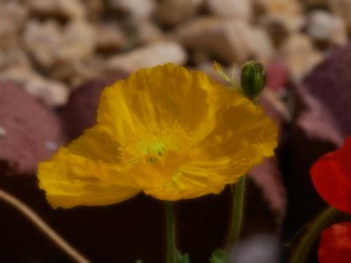 15:09:54 GMT-0800 (PST)