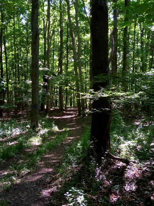 14:14:54 GMT-0500 (EST)