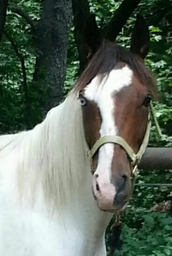 15:29:18 GMT-0500 (EST)