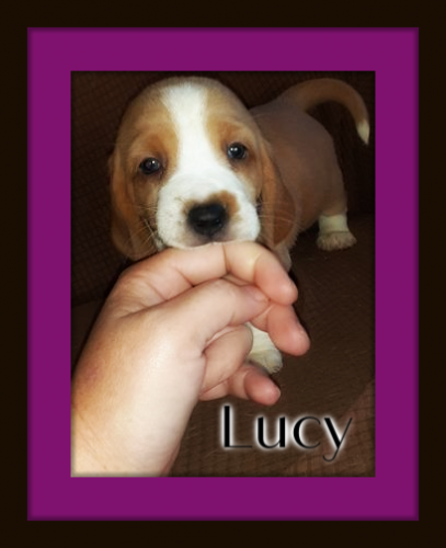 120578789-1774810439340196-6625739997007855121-n