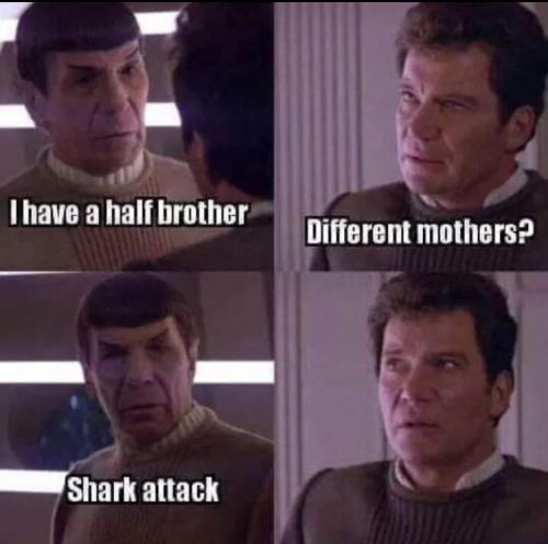 09:36:43 GMT-0600 (CST).image