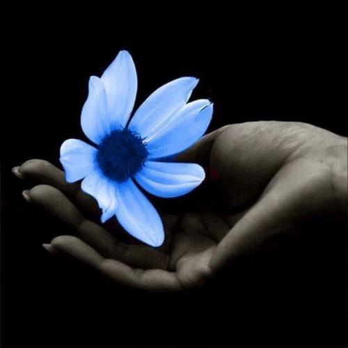 10:18:48 GMT-0600 (CST).image