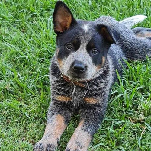 21:01:25 GMT+1100 (AEDT)