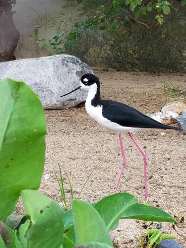 15:33:45 GMT-0800 (PST)