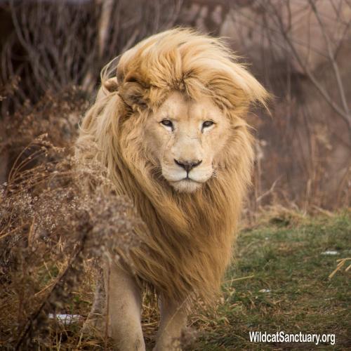 18:37:48 GMT-0800 (PST).image