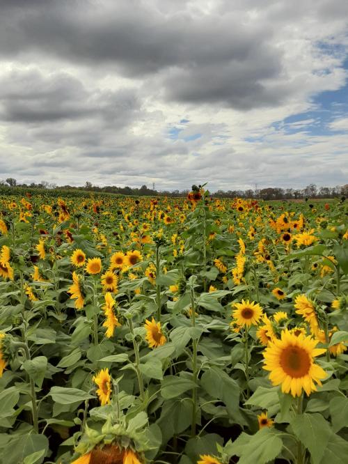 00:46:49 GMT-0500 (EST)