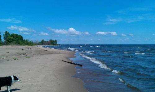 20:13:48 GMT-0600 (CST)