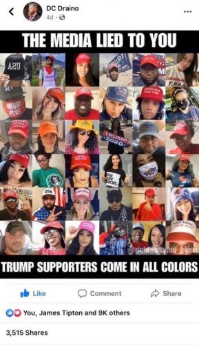 trump supporters_n