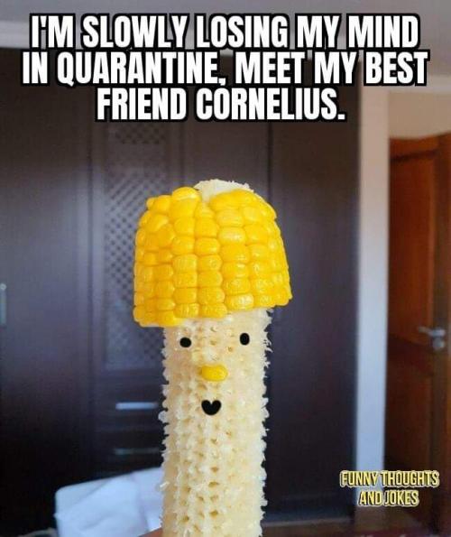 10:24:34 GMT-0600 (CST)