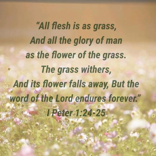 08:37:47 GMT-0500 (EST)