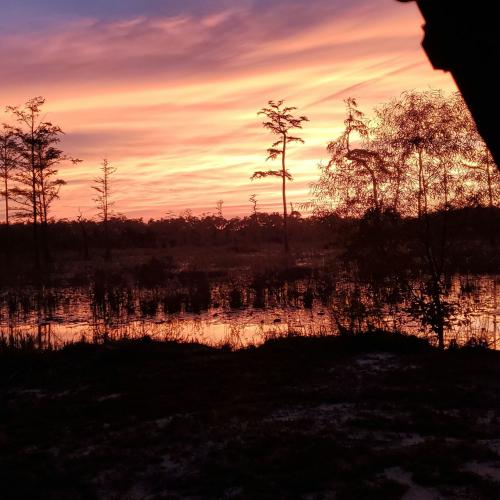 13:40:05 GMT-0500 (EST)