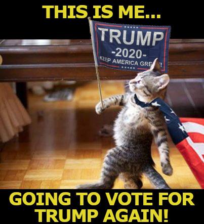 120463228_10223385651419264_8451394535171022125_n