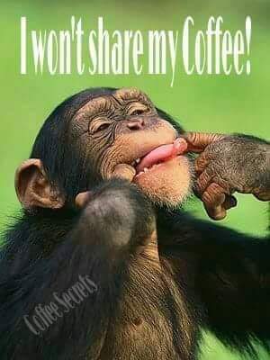 07:36:10 GMT-0600 (CST)