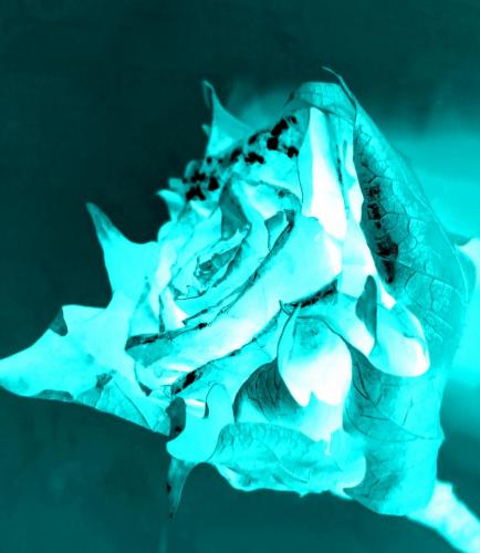 23:50:48 GMT-0600 (CST)